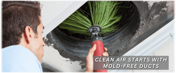 Air Duct Mold Removal in Marietta